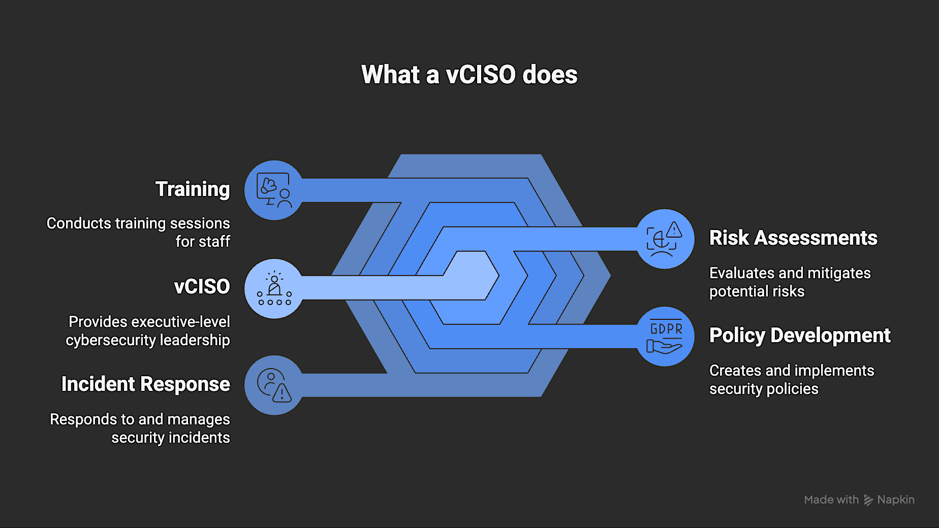 1 - what a vCISO does