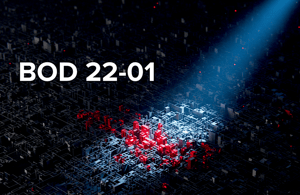 What Is BOD 22-01, and How to Prepare for It